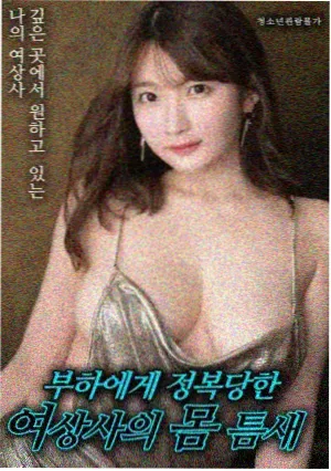 风穿过教室 动画海报